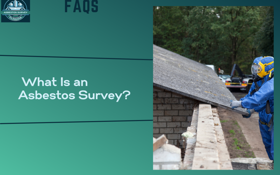 What Is an Asbestos Survey?