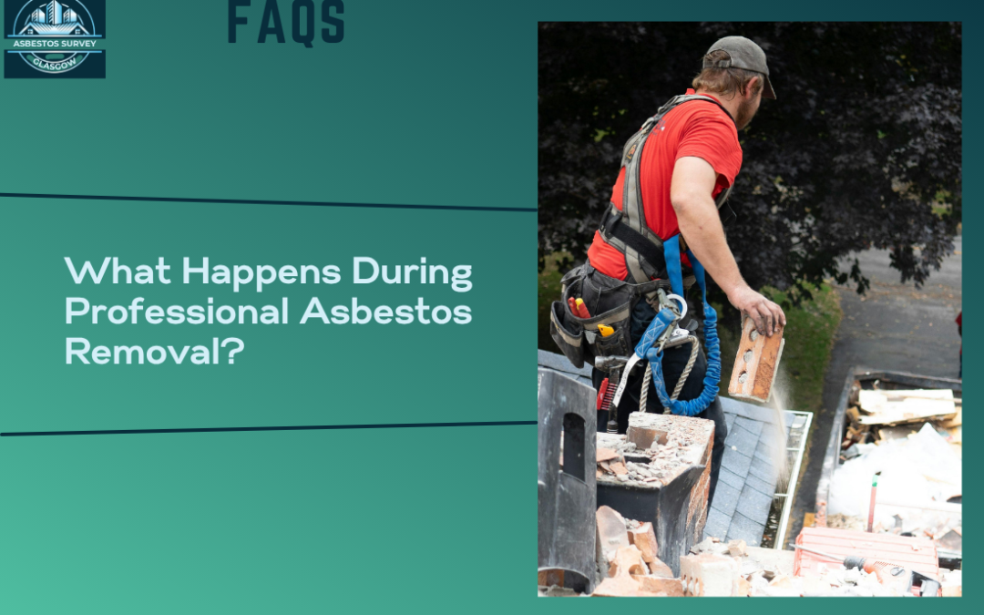 What Happens During Professional Asbestos Removal?